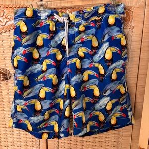 Tropical Toucan Print Men's Board Shorts